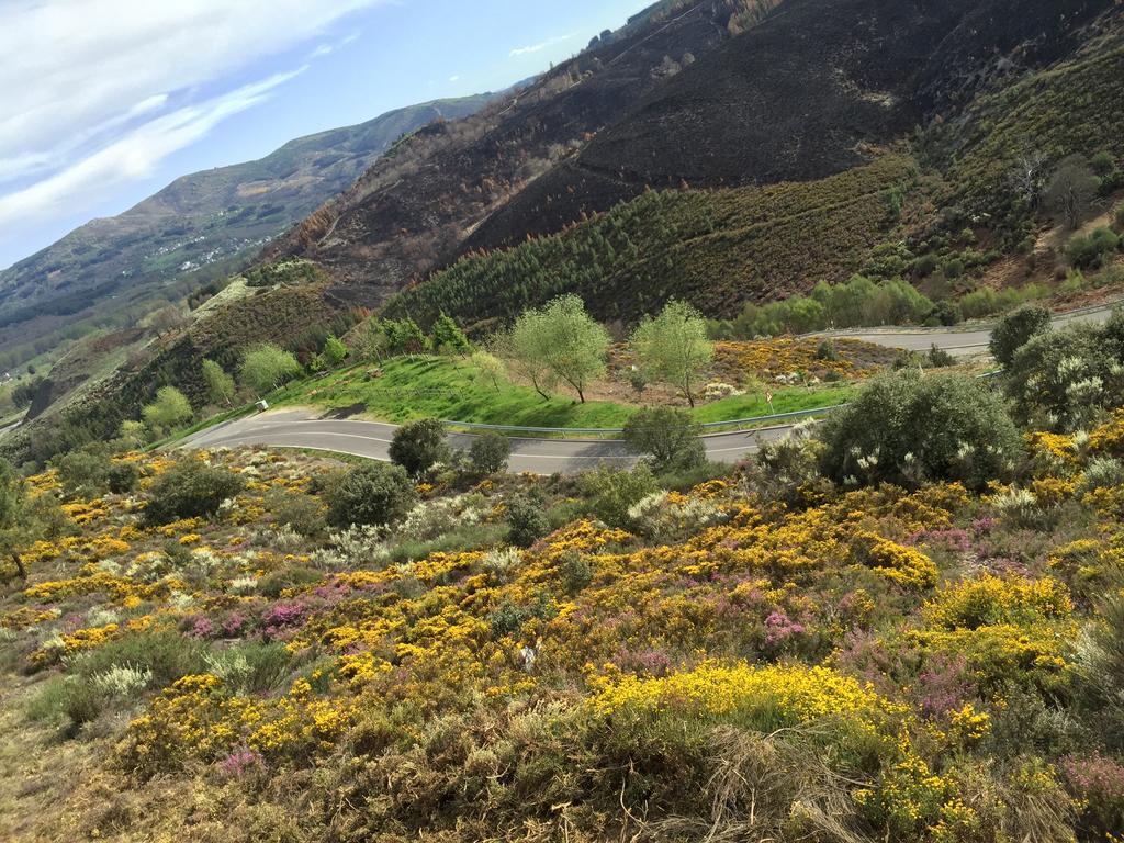 Alojamiento En Entorno Rural Los Trobos Villar de Otero Εξωτερικό φωτογραφία