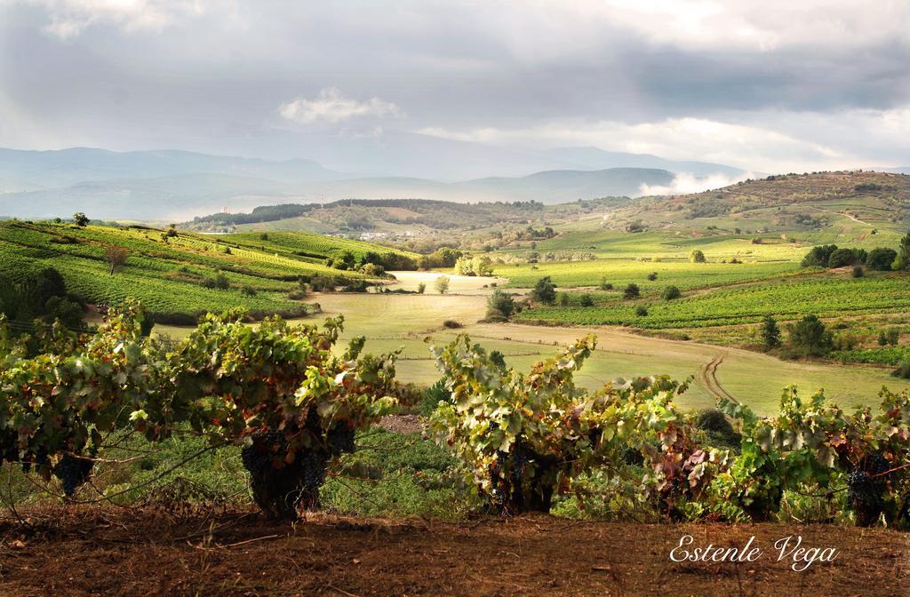 Alojamiento En Entorno Rural Los Trobos Villar de Otero Εξωτερικό φωτογραφία